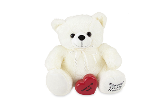 Teddy Bear – White-image
